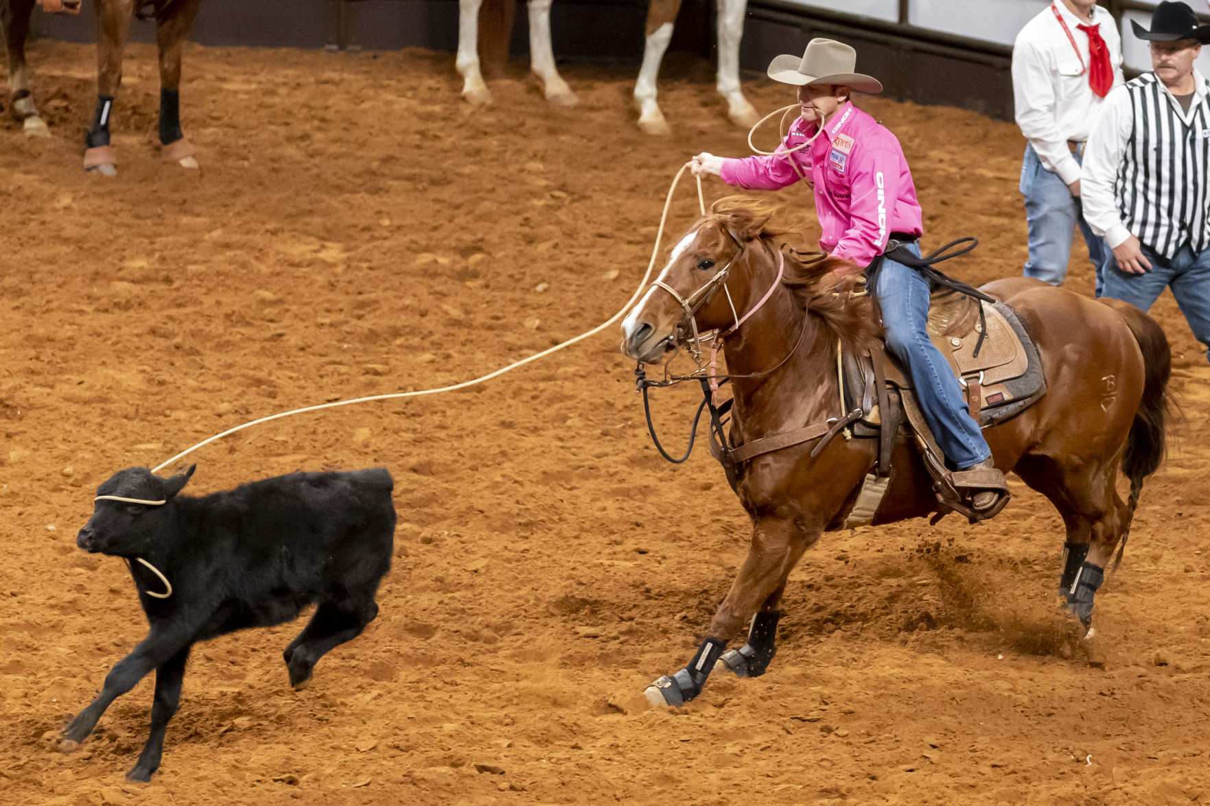 A rodeo, ice skating and Christmas extravaganza in this week’s socially distanced To-Do List